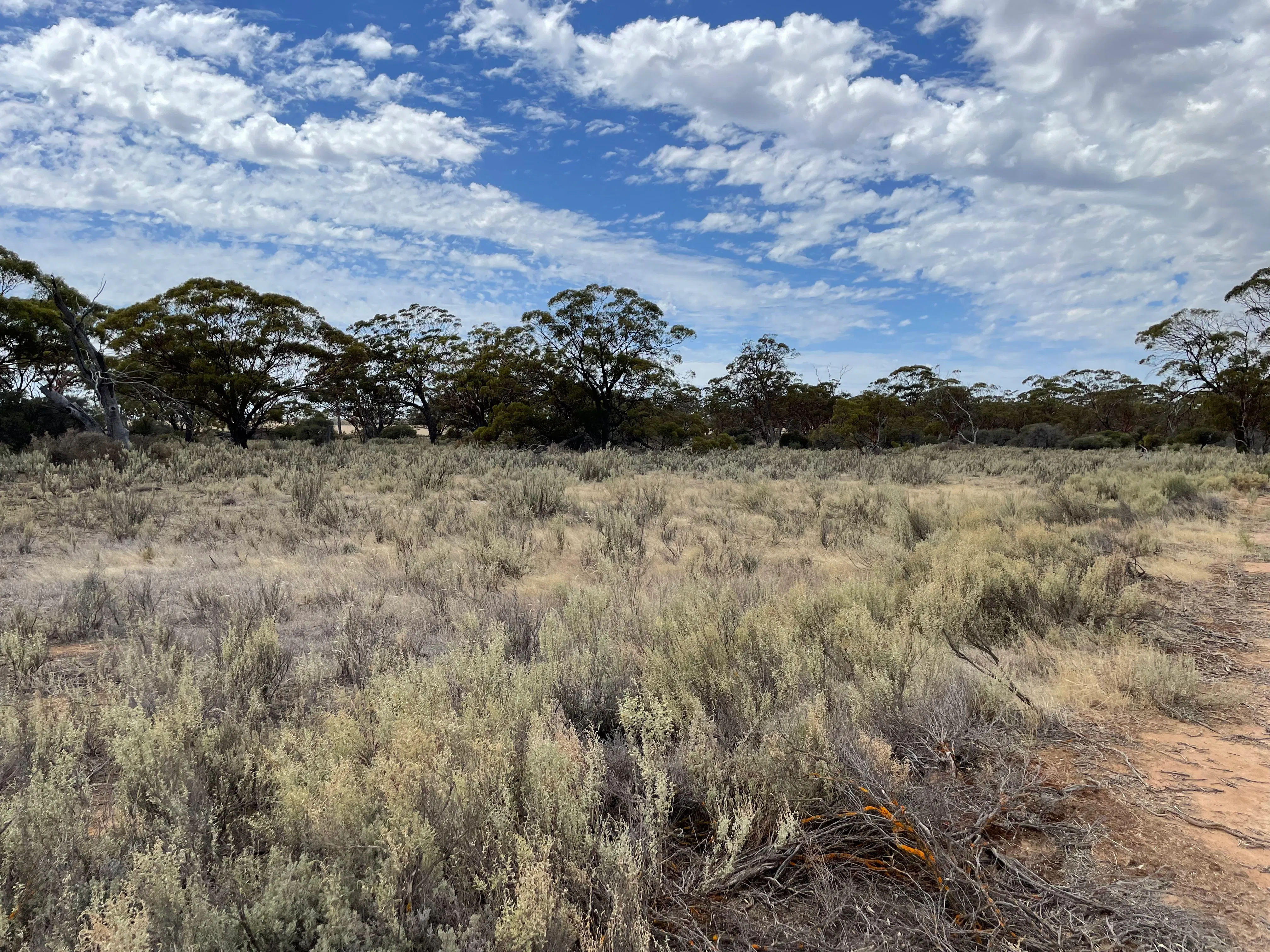 Carbon-landscape.jpg